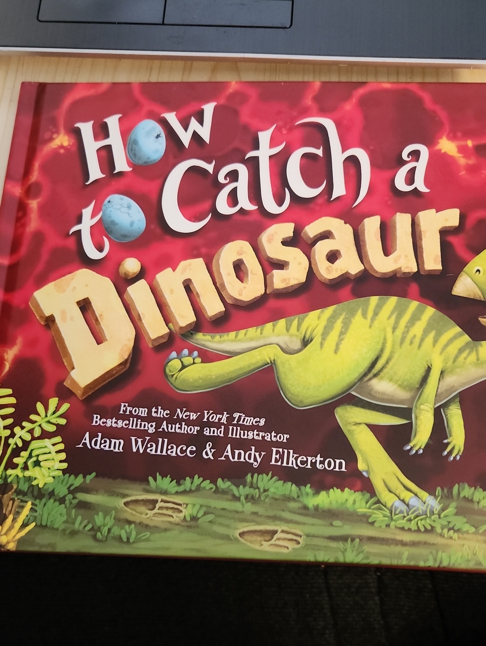 How to Catch a Dinosaur Book
